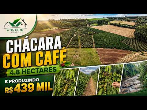 Capa do imóvel CHACARA COM CAFÉ 4.8 HECTARES E PRODUZINDO R$ 439 MIL